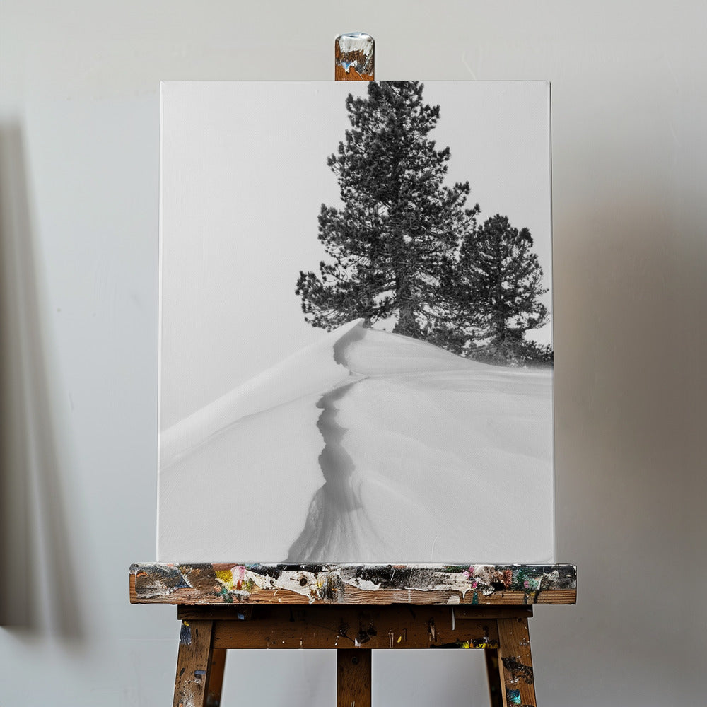 About the snow and forms | Canvas