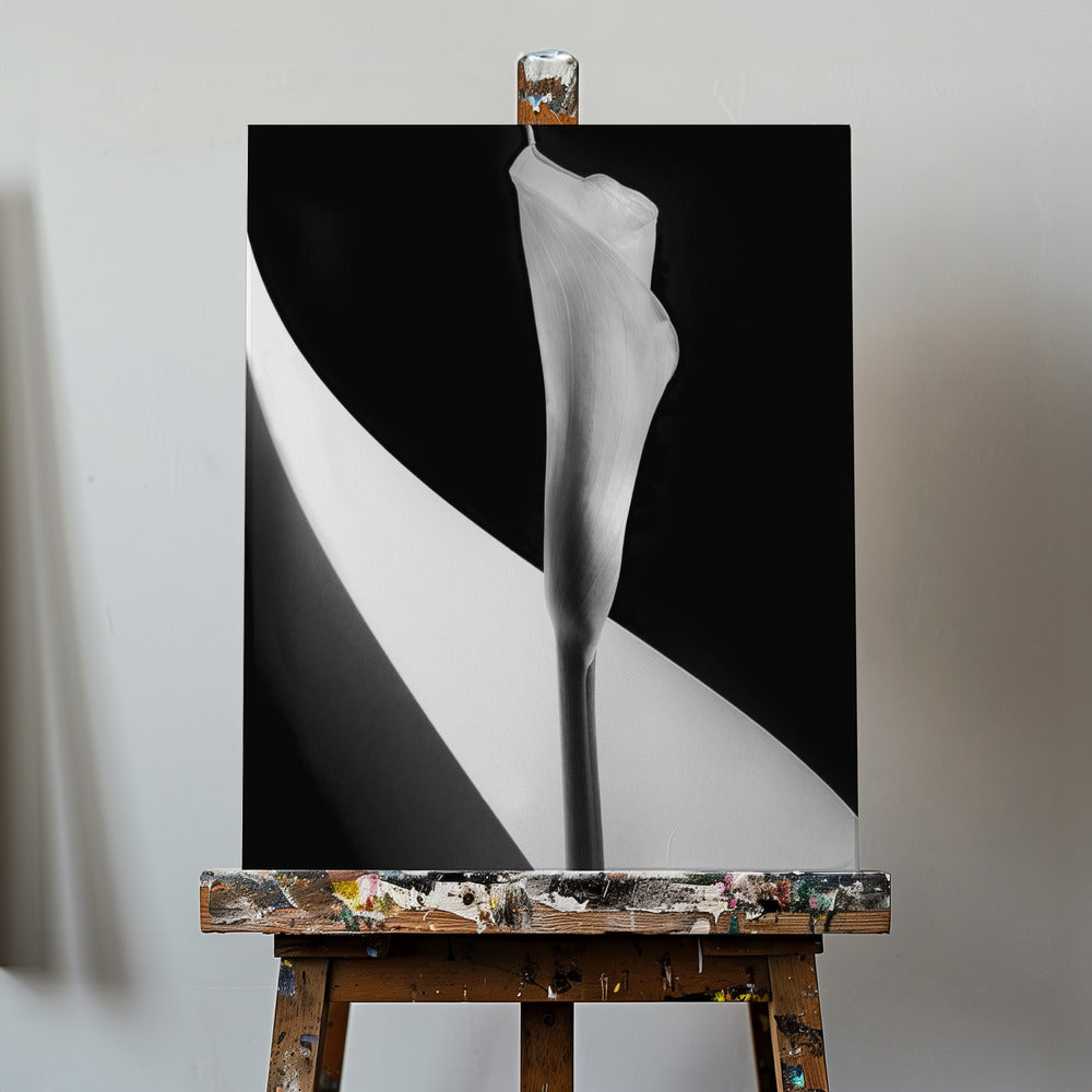 Calla lily | Canvas
