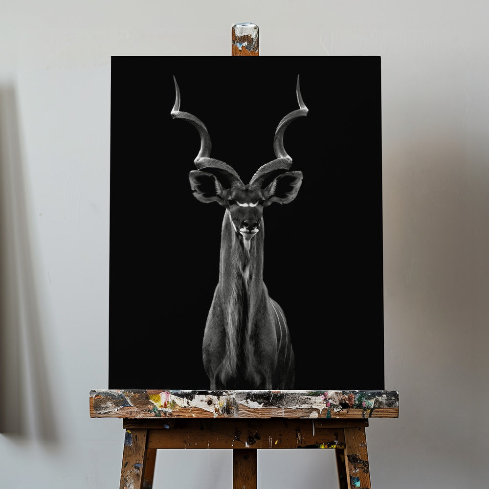 Kudu większy | Wydruki na łótnie