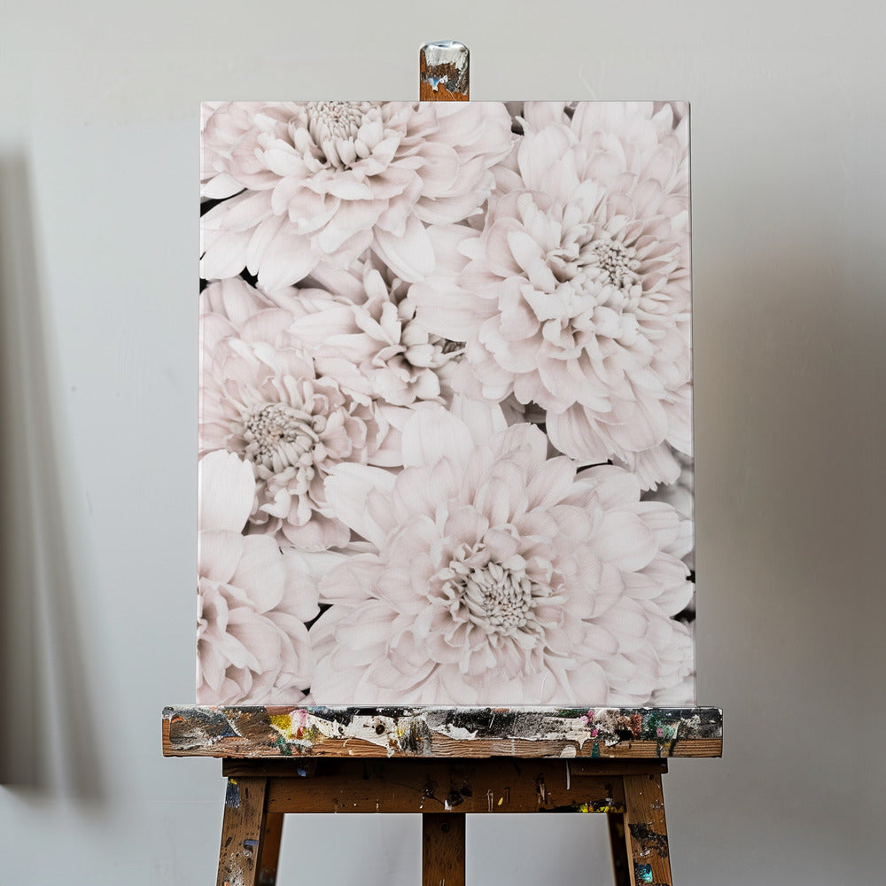 Chrysanthemum No 07 | Canvas