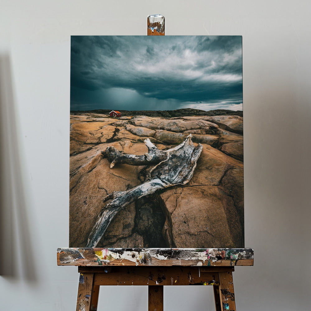Drift wood | Canvas
