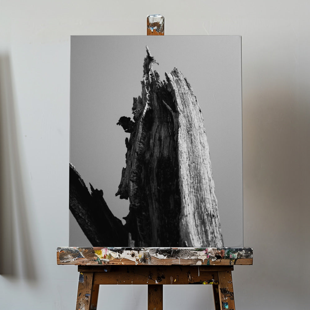 Zones humides 1 | Tableaux sur Toile
