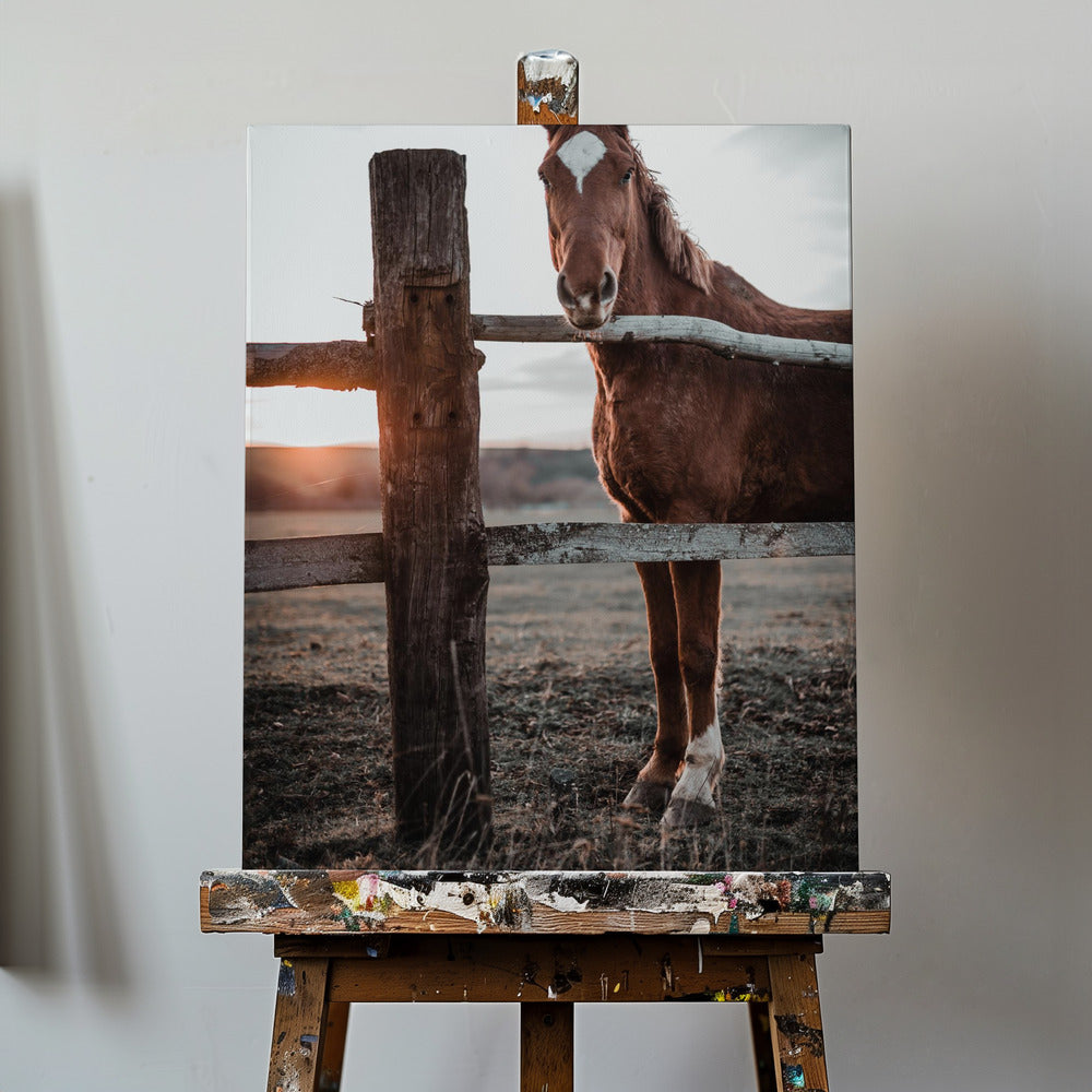 Horse Farm in Skároš, Slovakia | Canvas