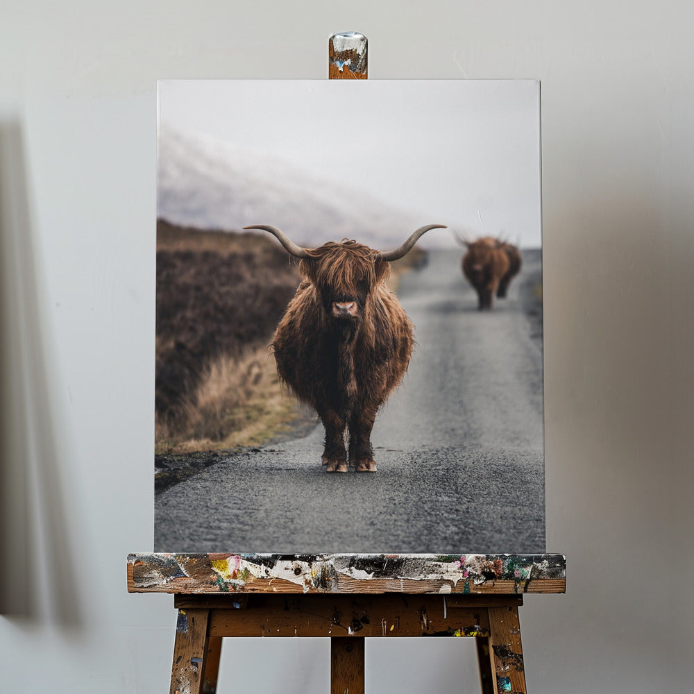 Kuh | Leinwand-Bilder