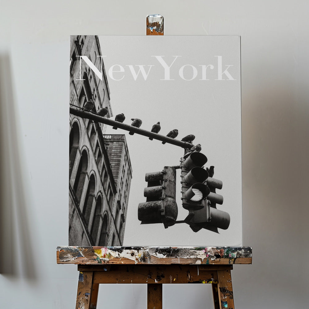 Gołębie z Nowego Jorku | Wydruki na łótnie