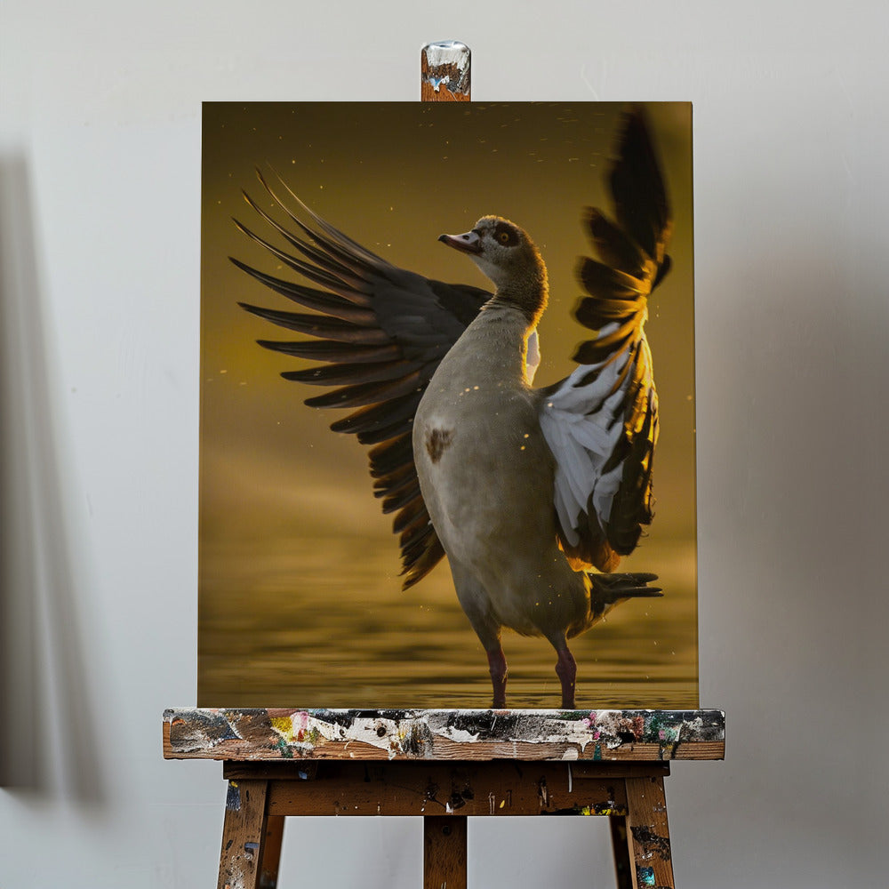 Corazón abierto | Impresiones en Lienzo