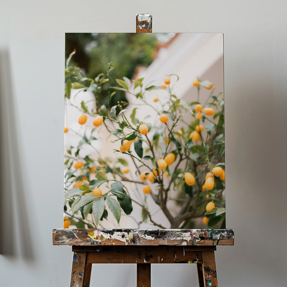 Orange Capri | Leinwand