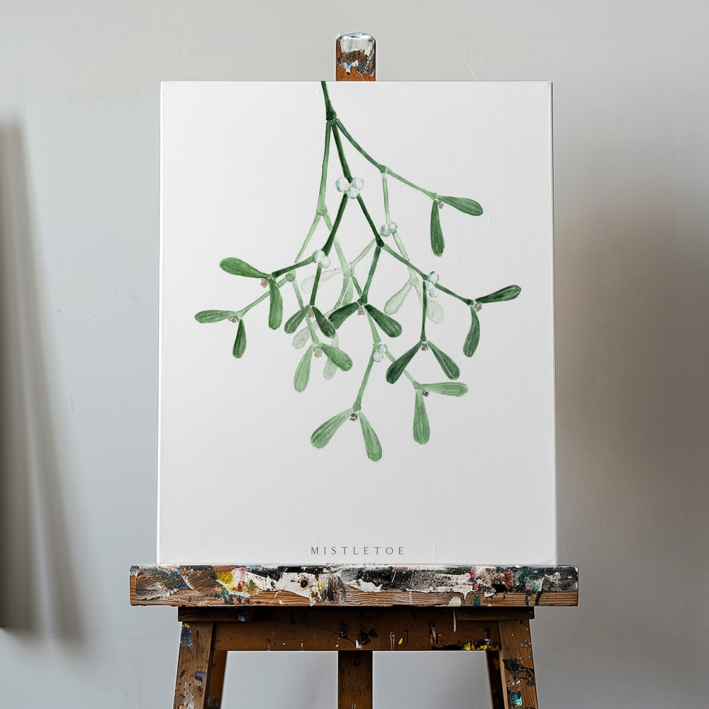 Aquarell Mistelzweig | Leinwand-Bilder