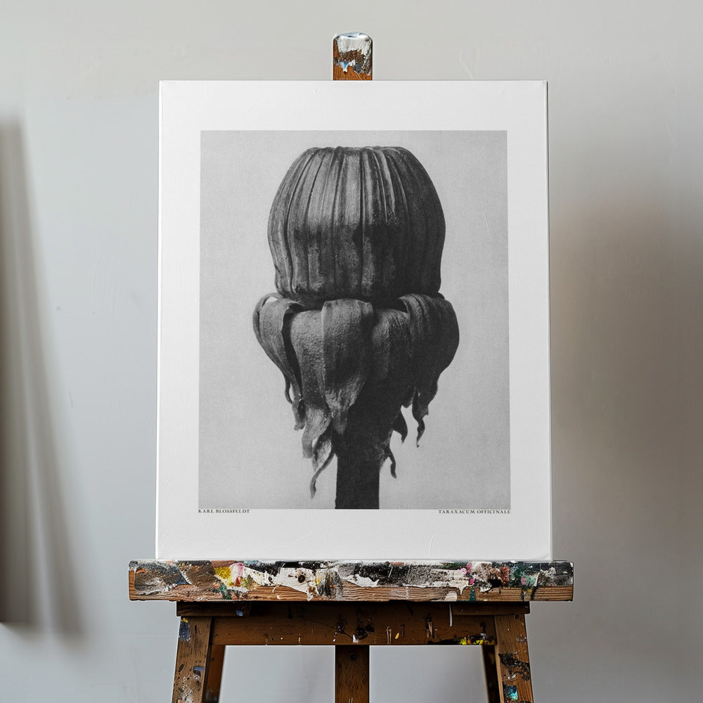 Mniszek lekarski Wydruki na łótnie