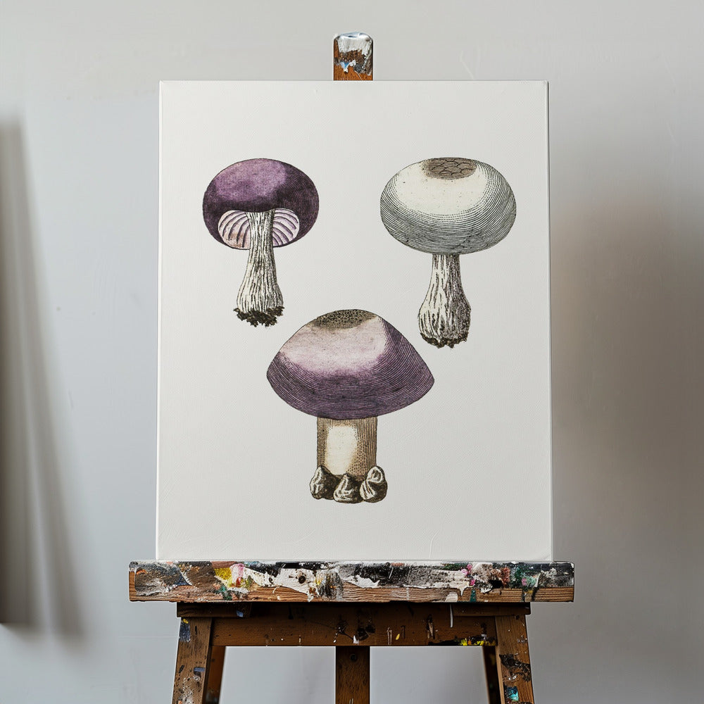 Hand Darwn Violet Webcap Mushroom | Canvas