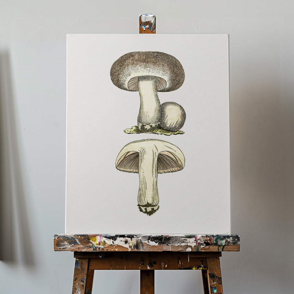 Hand Drawn Field Mushroom Gray | Canvas