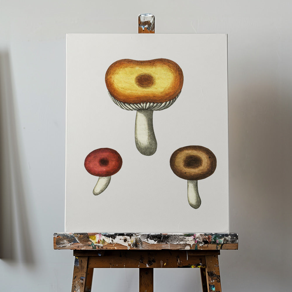 Hand Drawn Galerina Mushroom | Canvas