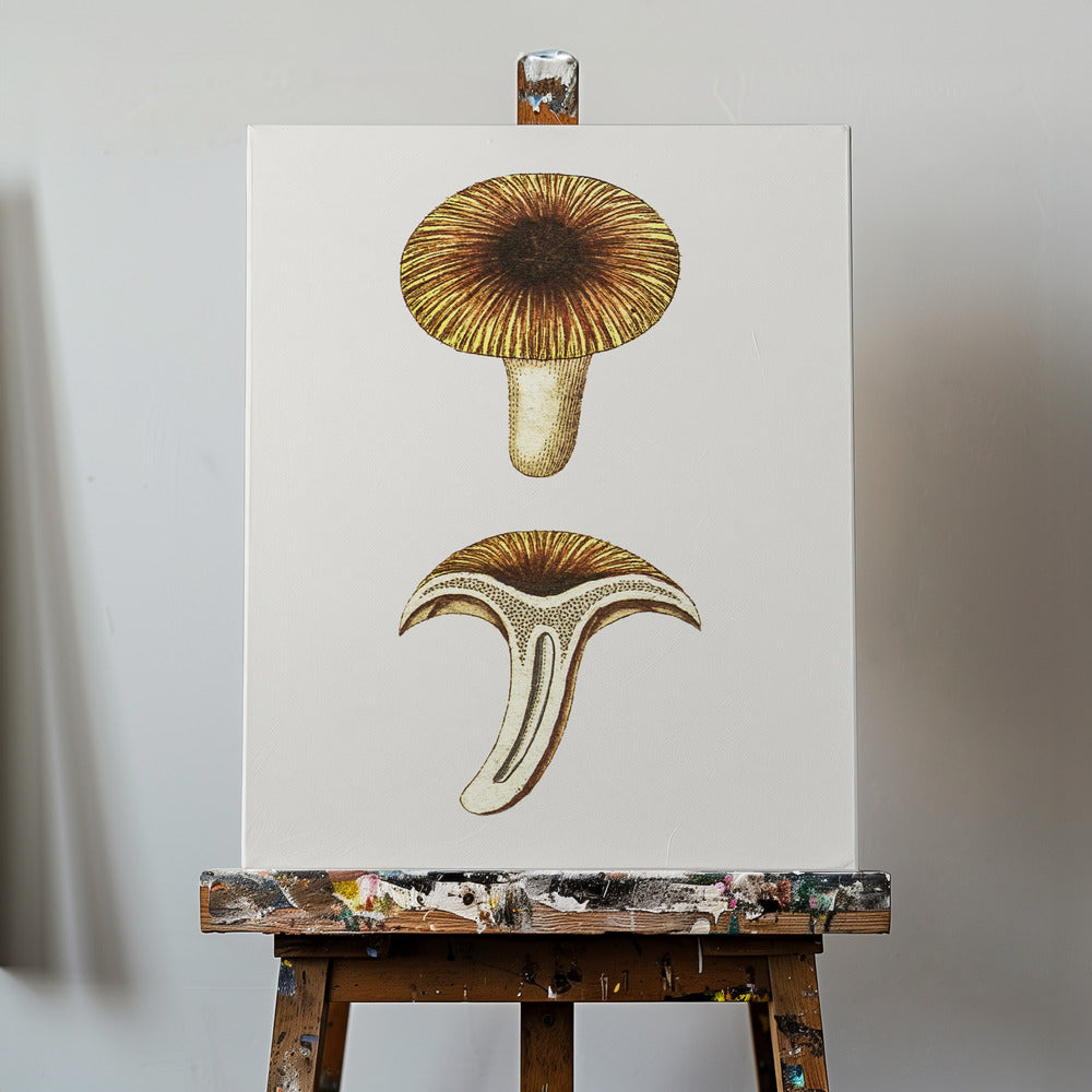 Vintage Chanterelles Edible Mushroom | Canvas