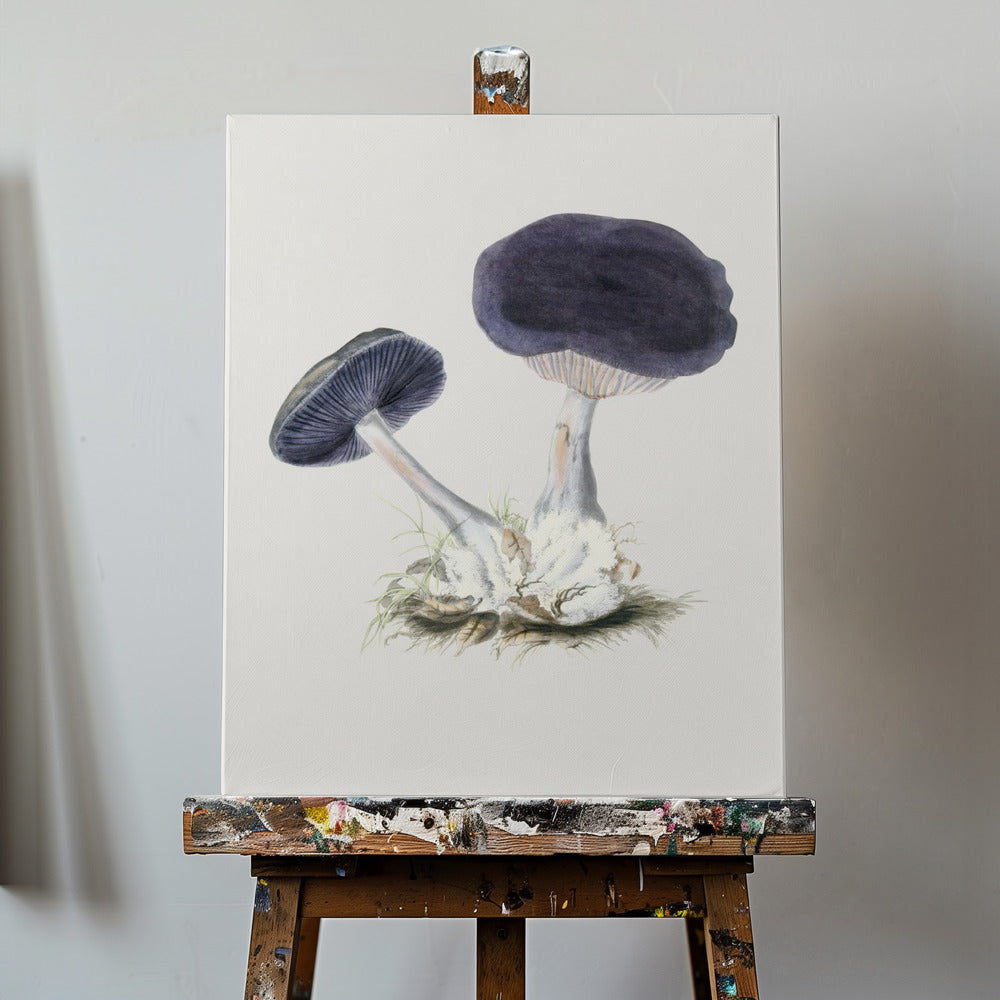 Vintage Violet Webcap Mushroom | Canvas
