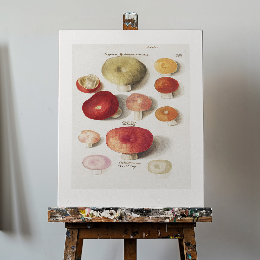 Boleten, Boletales Standing | Canvas