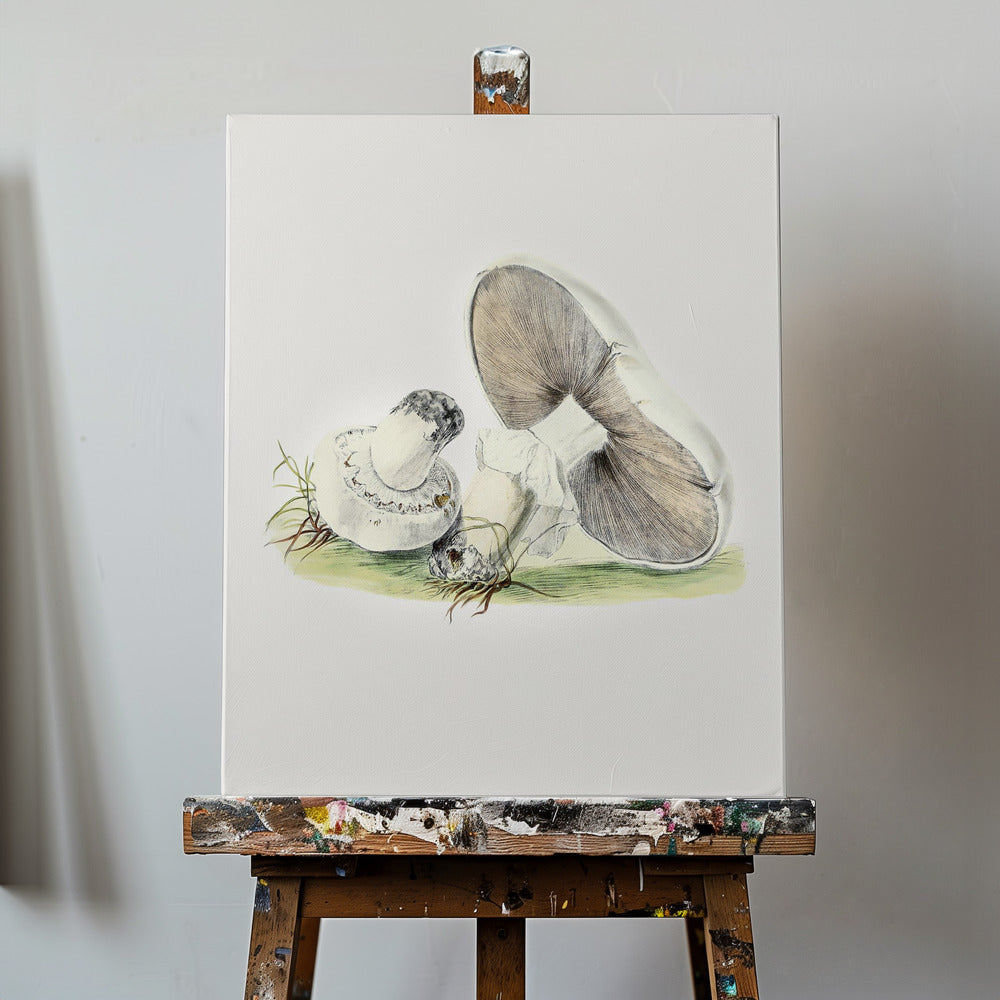 Hand Drawn Horse Mushroom Standing | Canvas