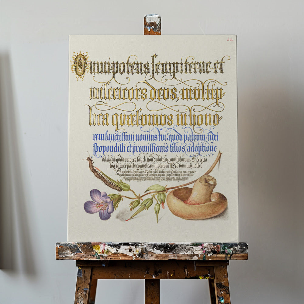 Mushroom Poster | Canvas