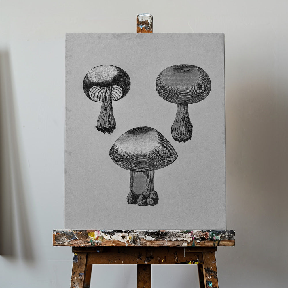 Violet Webcap Mushroom | Canvas