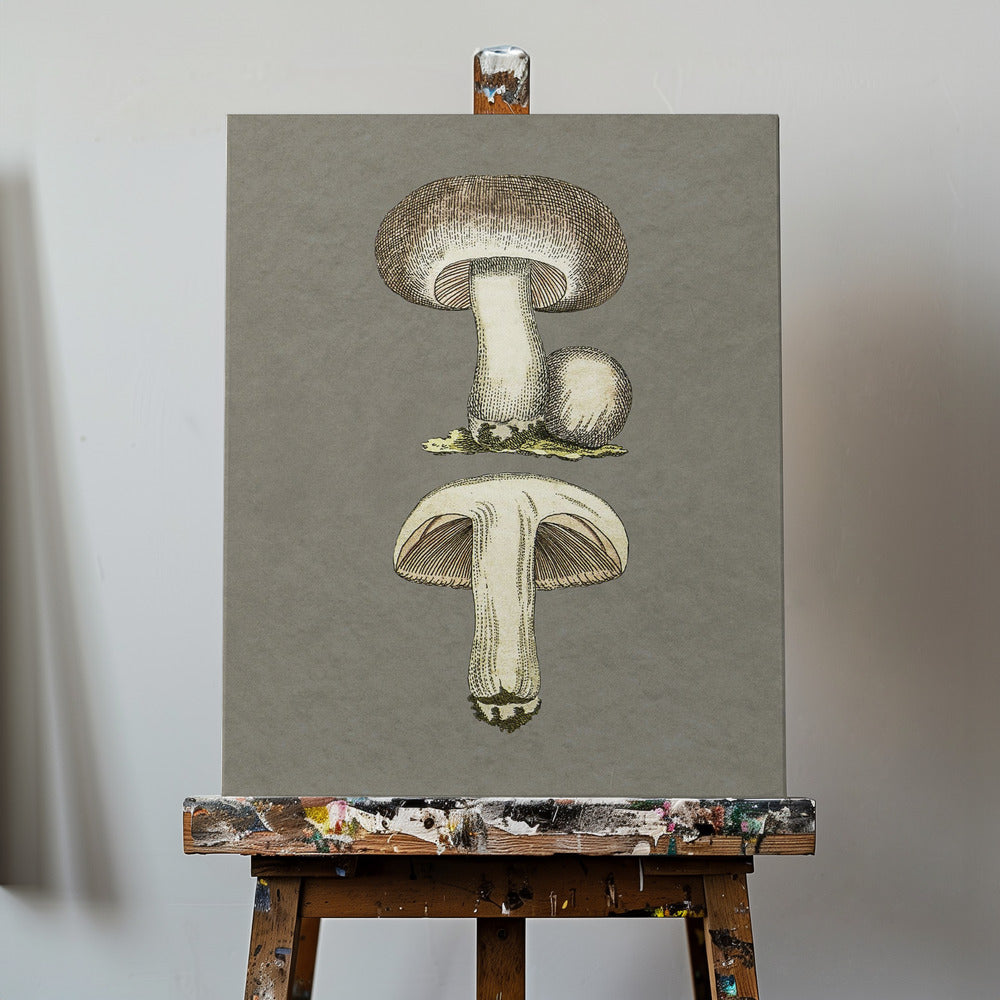 Field Mushroom | Canvas