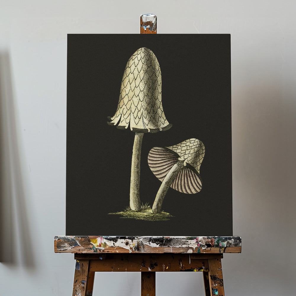 Hongo comestible con tapa de tinta vintage, fondo negro | Impresiones en Lienzo