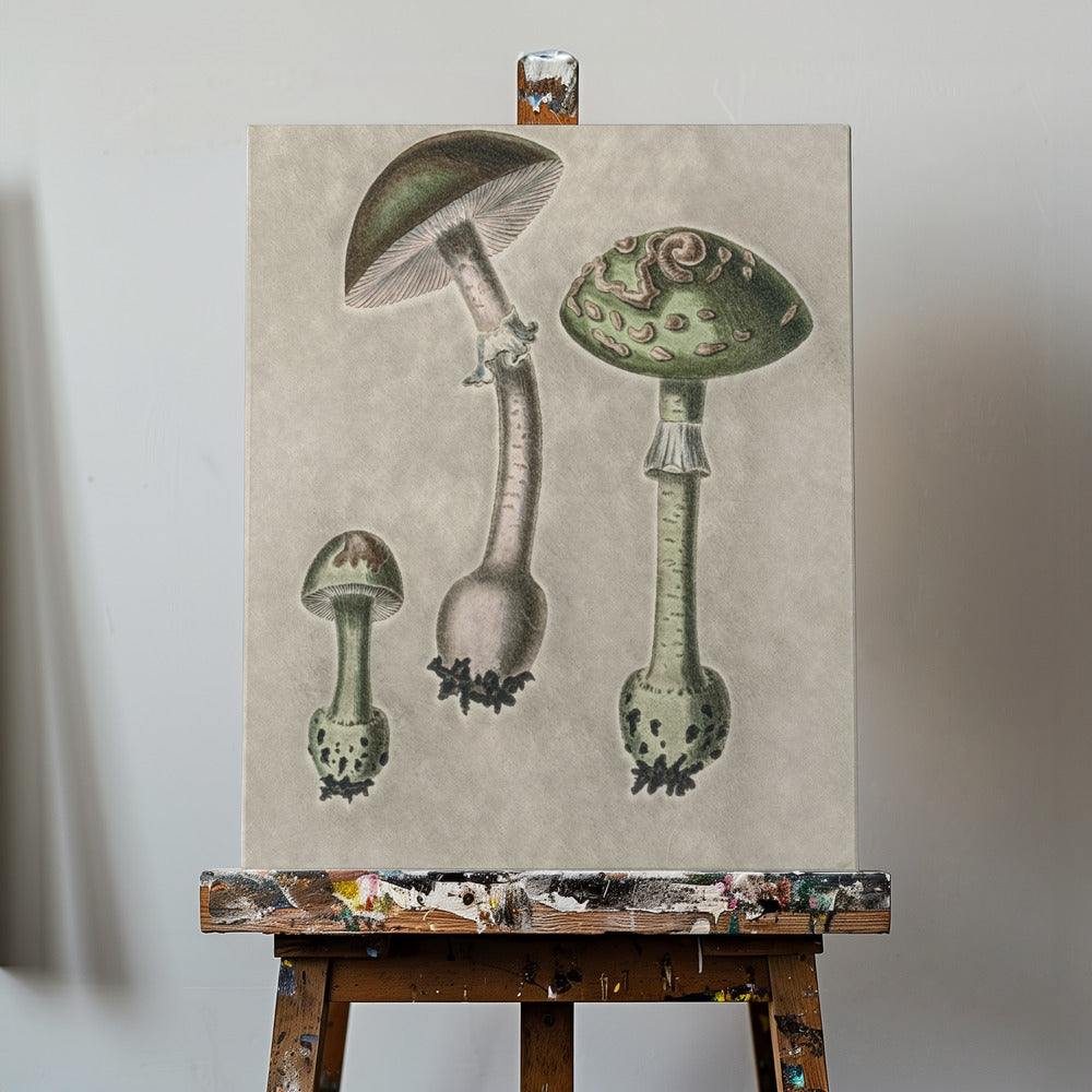 Amanita Muscaria Remix Green | Canvastaulut