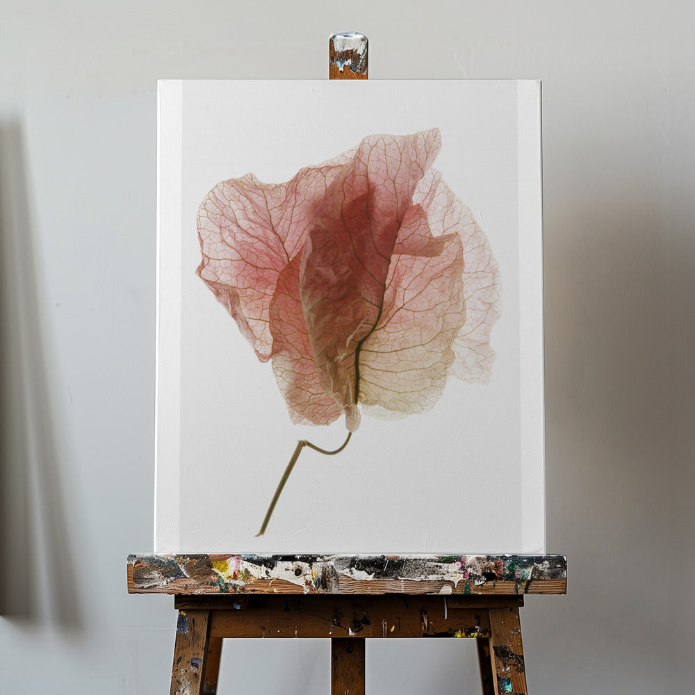 Bougainvillea-studie nr 4 | Canvas