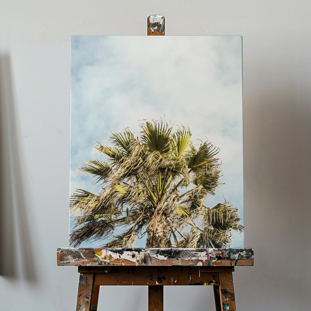Sunlit Fronds | Canvas