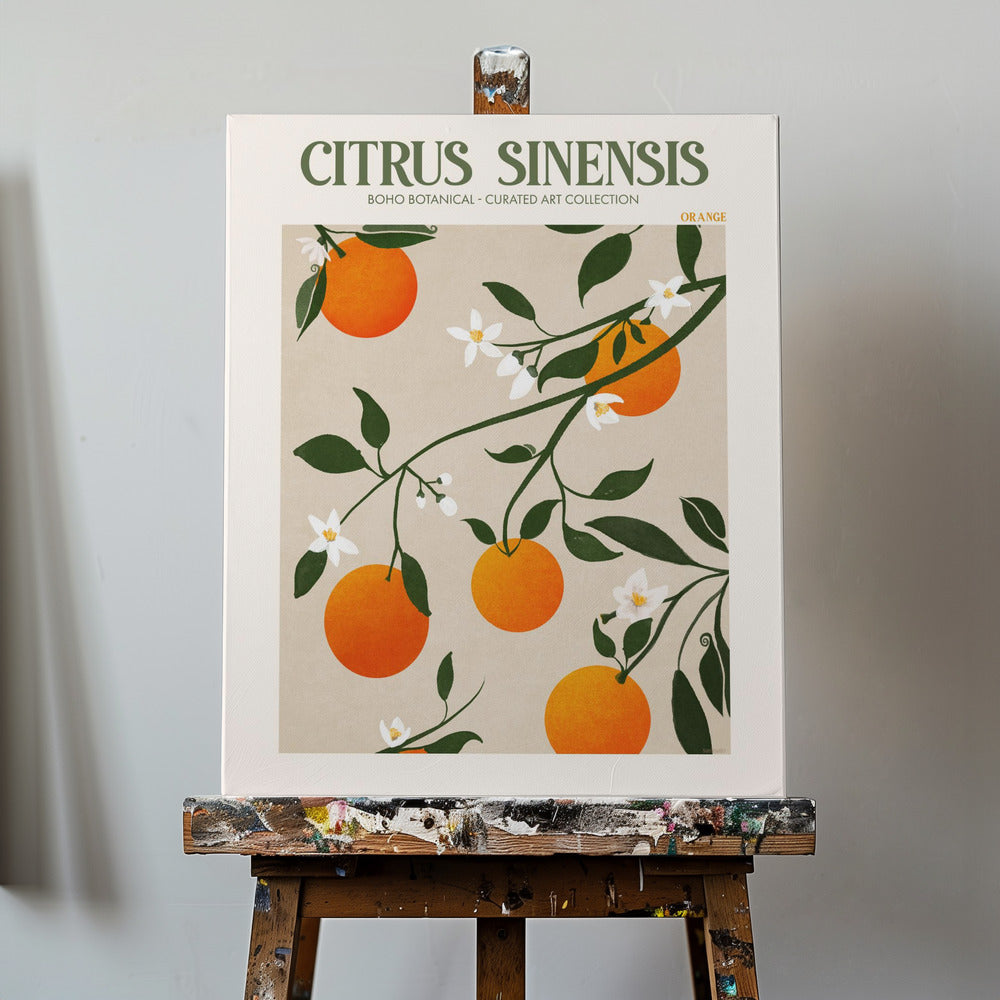 Citrus Sinensis – Orange | Leinwand-Bilder