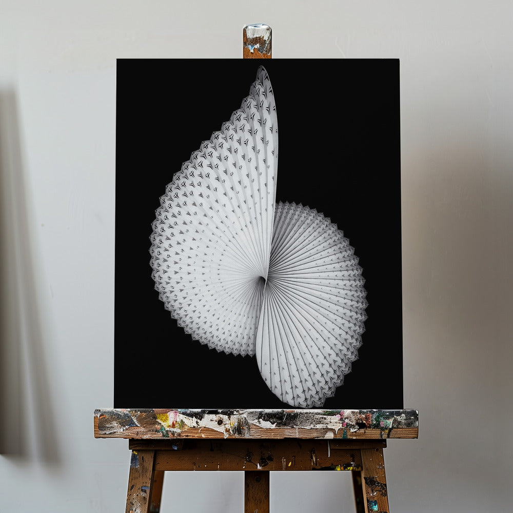 Nautilus-ähnliche Skulptur | Leinwand-Bilder