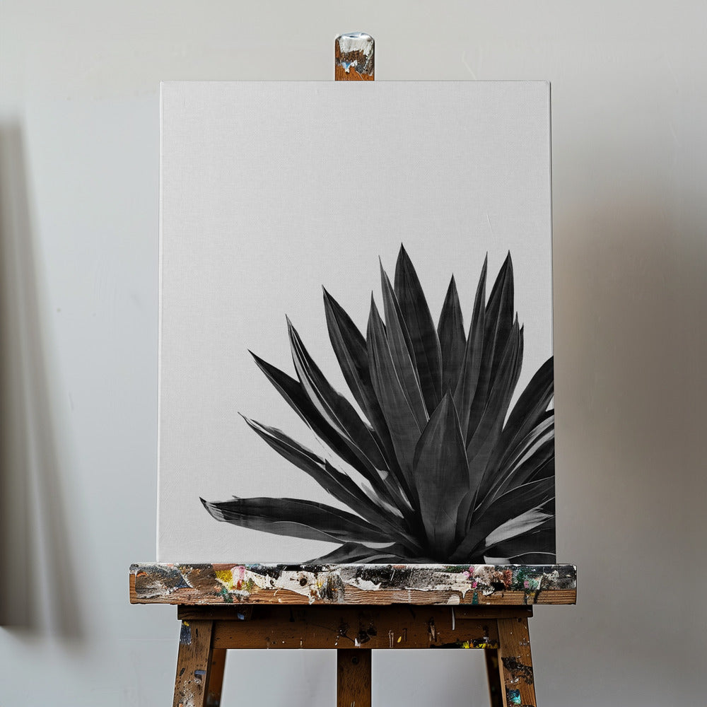 Agave Cactus Black & White | Canvas