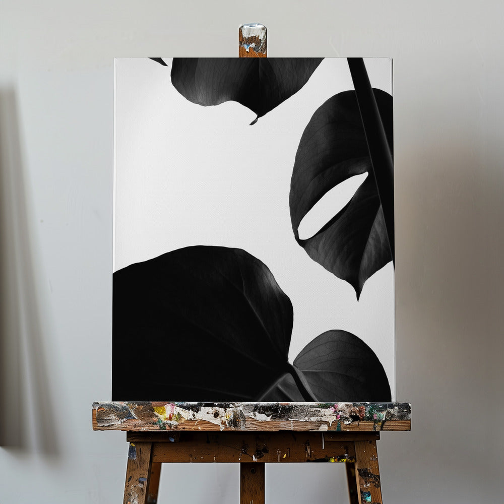 Contrasty Monstera | Canvas