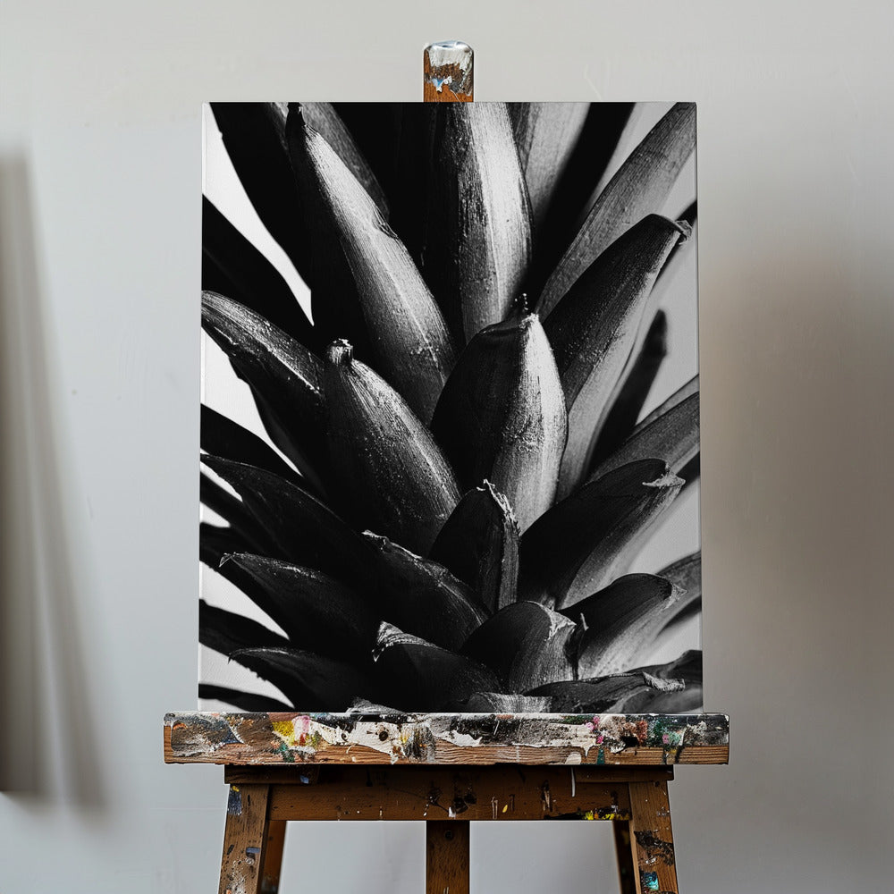 Pine B&w | Canvas