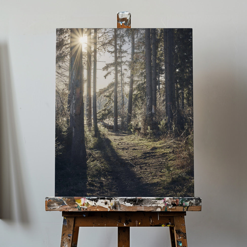 Dsf2913 Hdr 1 | Canvastaulut