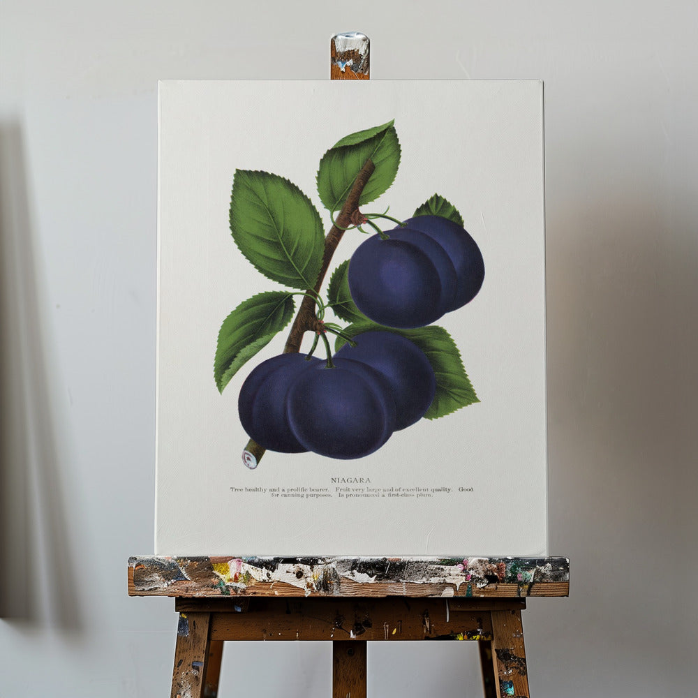 Niagara Plum Lithographie | Leinwand