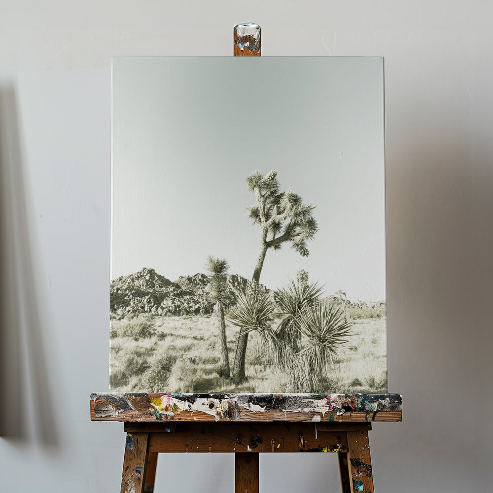 Park Narodowy Joshua Tree - zabytkowe wrażenia | Wydruki na łótnie