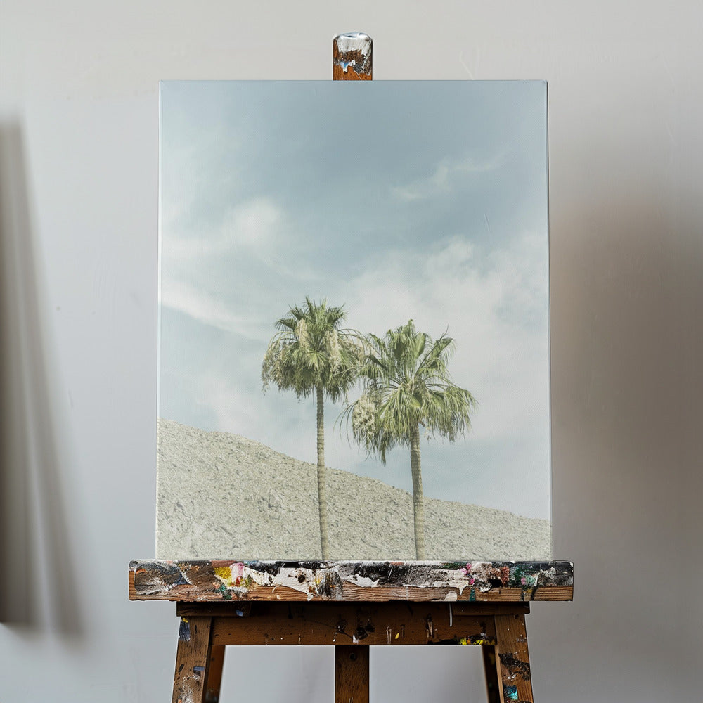Stare palmy na pustyni | Wydruki na łótnie