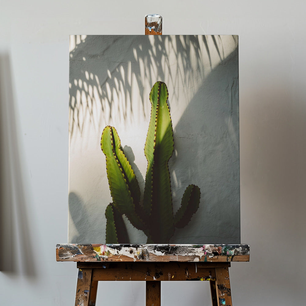 Cienie Socal | Wydruki na łótnie