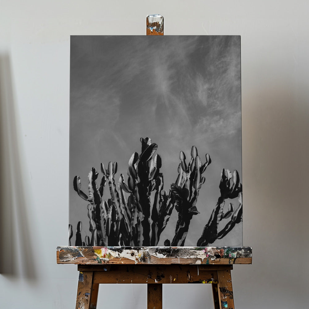 Monochromatyczne niebo kaktusa | Wydruki na łótnie
