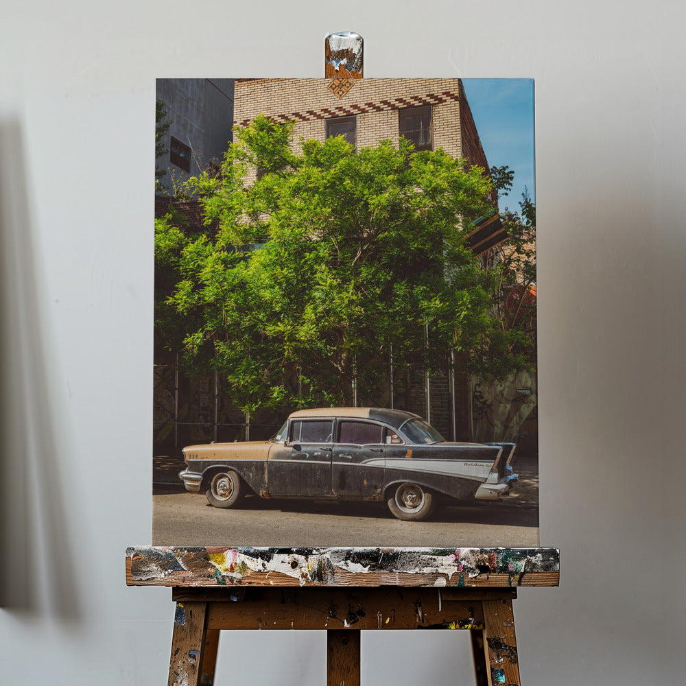 Przejażdżka po Brooklynie | Wydruki na łótnie