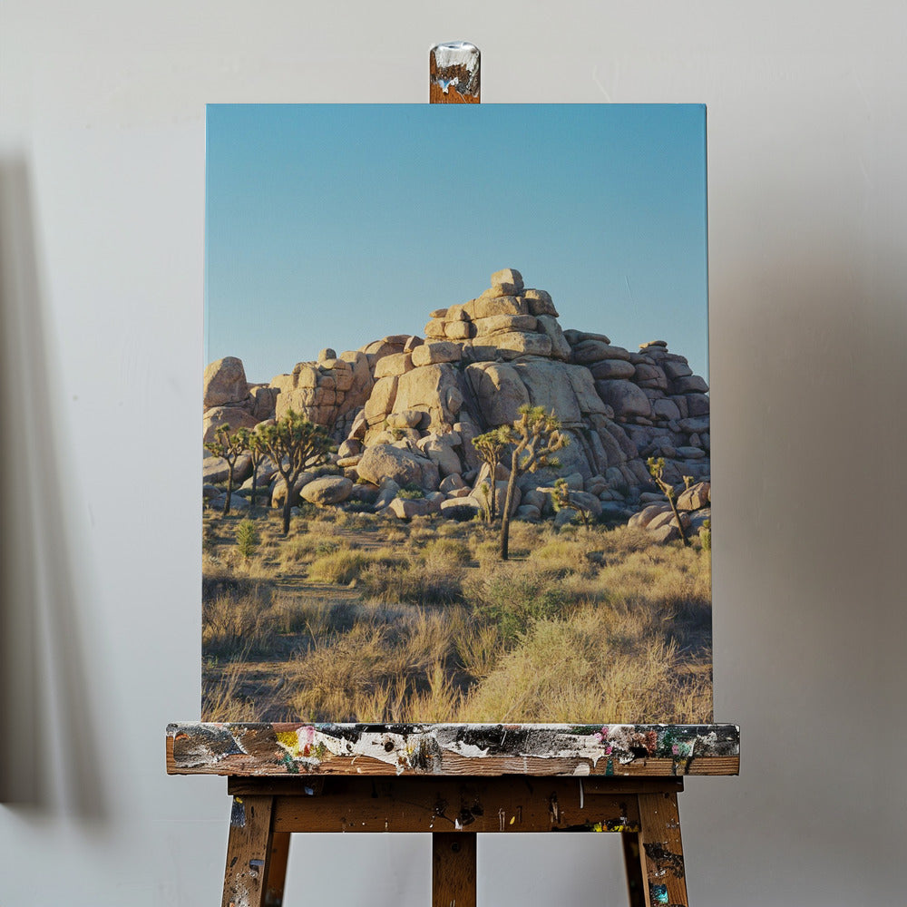 Zachód słońca nad Joshua Tree | Wydruki na łótnie