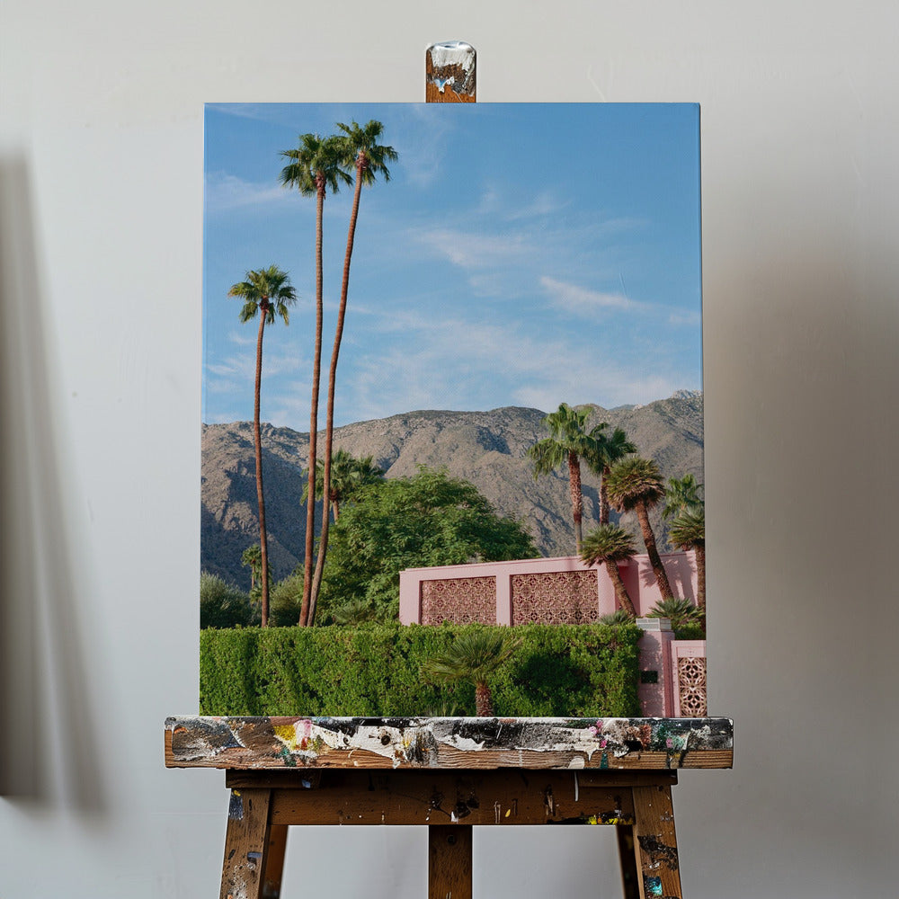 Różowy dom w Palm Springs | Wydruki na łótnie
