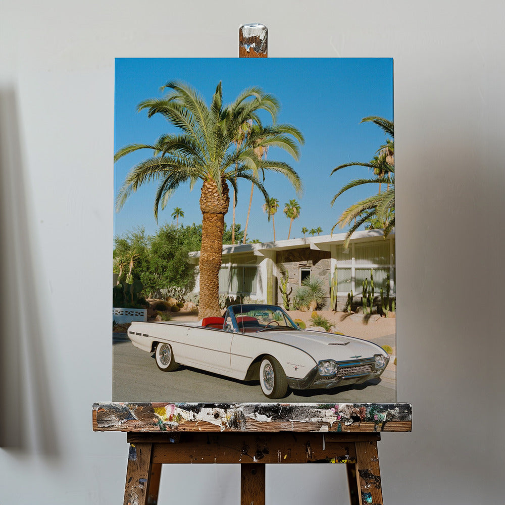 Palm Springs Thunderbird | Wydruki na łótnie