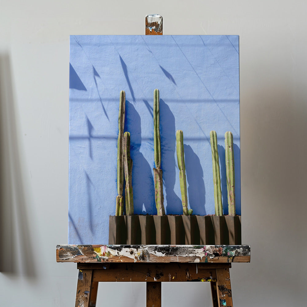 Wysokie kaktusy | Fotografia podróżnicza Oaxaca Meksyk | Wydruki na łótnie