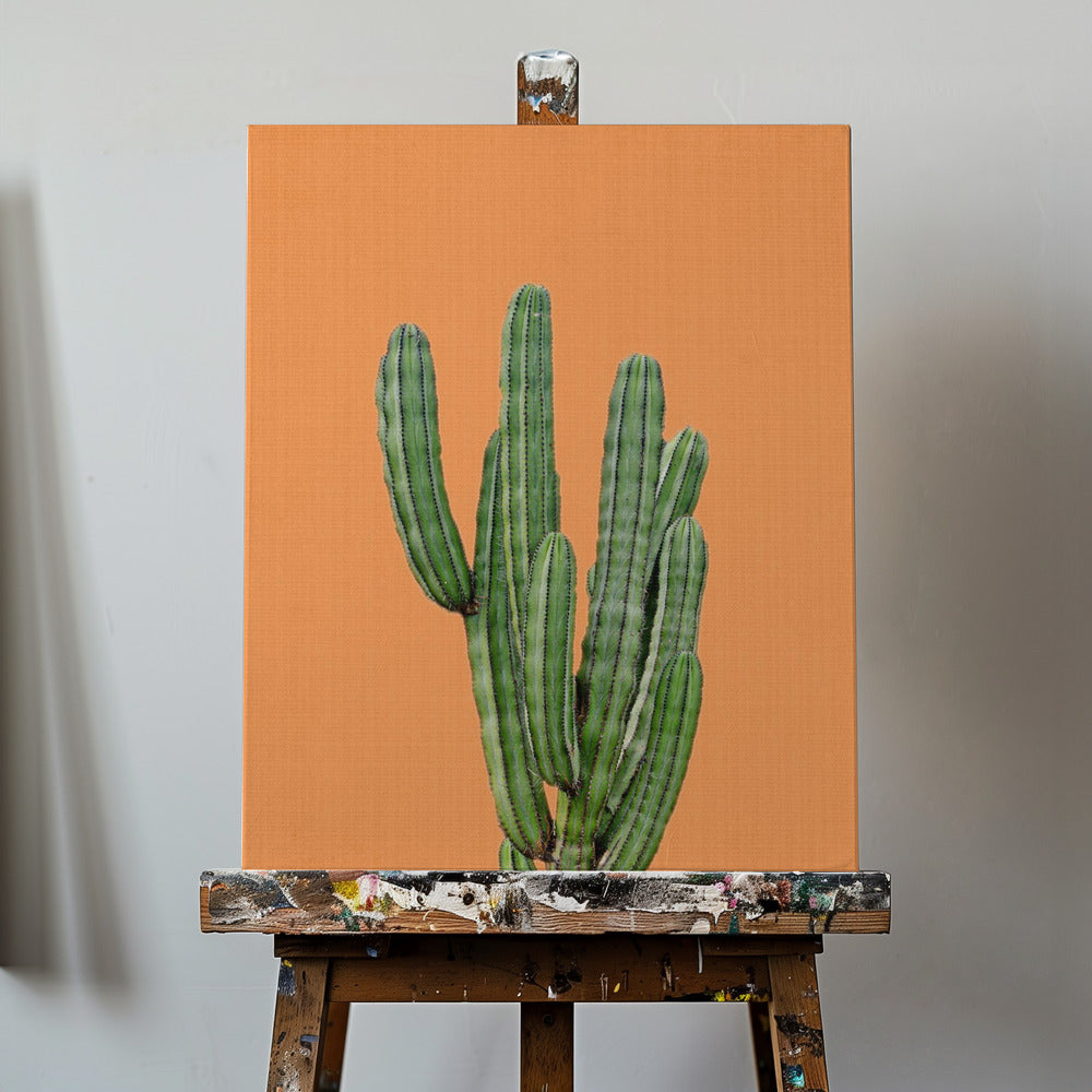 Oranger Kaktus | Leinwand-Bilder