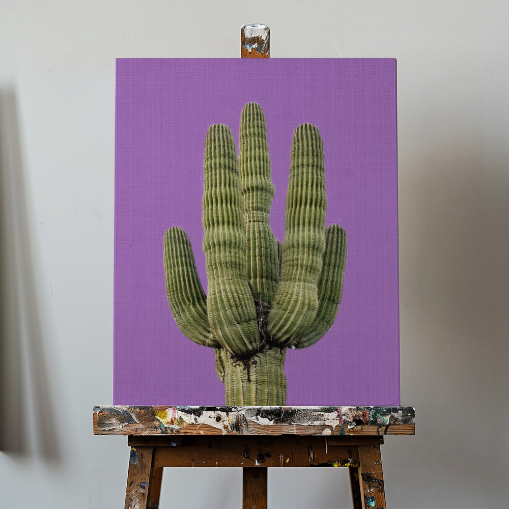 Lila Kaktus | Leinwand-Bilder