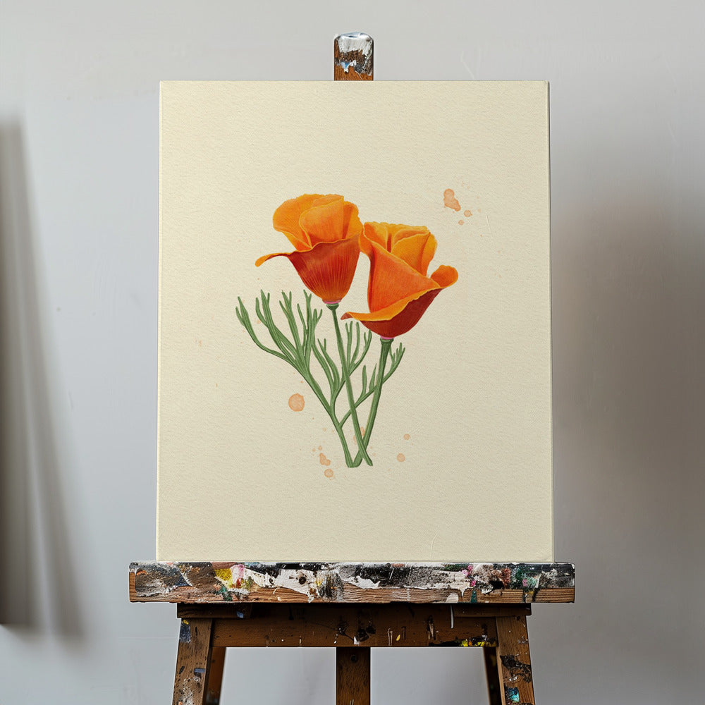 California Poppy | Canvas
