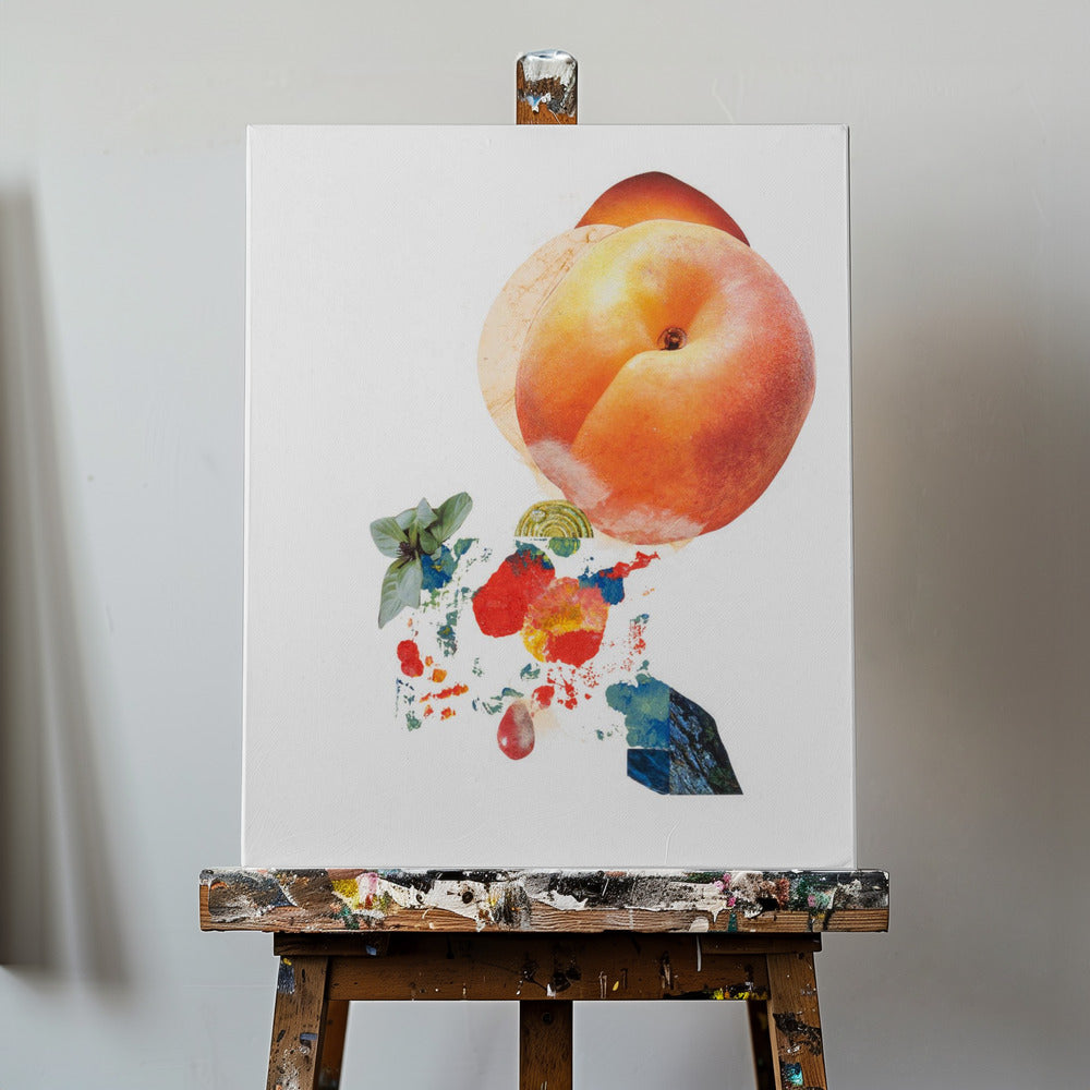 Momo_Montserrat Serra Nonell | Duk