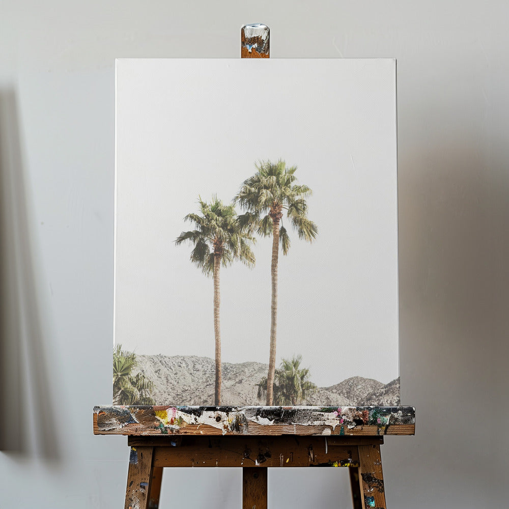 Palm Springs Palms | Canvas