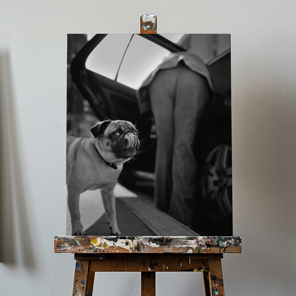 Untitled | Canvas