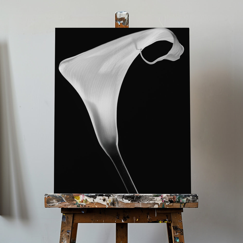 Calla | Stampe su Tela